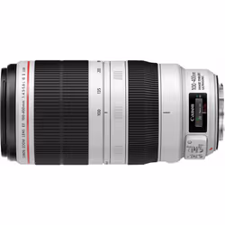 Canon EF 100-400 mm f/4.5-5.6L IS II USM Lens | Canon Telephoto Lens