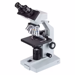 AmScope B100B-MS compound Binocular Microscope  40X-2000X Magnificatio