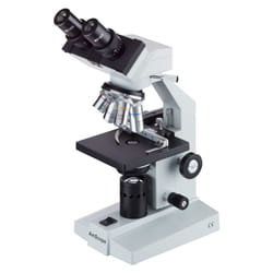 AmScope B100B-MS compound Binocular Microscope  40X-2000X Magnificatio