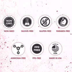 Punky Colour Box Kit Cherry on Top - For Bleached  Blonde or Highlighted Hair  Non-Damaging Hair Dye  Vegan  PPD and Paraben Free  Condition