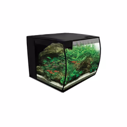 Fluval FLEX Glass Aquarium Kit 34L - Black