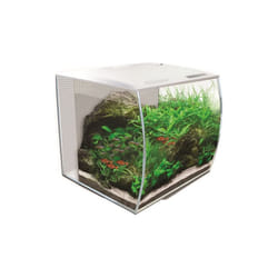 Fluval FLEX Glass Aquarium Kit 57L - White