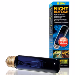 Exo Terra Night Heat Bulb T10 25w