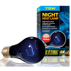 Exo Terra Night Heat Bulb A19 75w