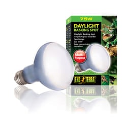 Exo Terra PT2132 reptile heat lamp 75 W 1 pc(s)