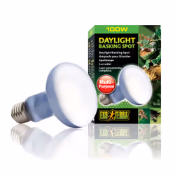 Exo Terra PT2133 reptile heat lamp 100 W 1 pc(s)