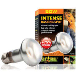 Exo Terra Intense Basking Spot S20 50w