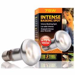 Exo Terra Intense Basking Spot S20 75w