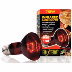 Exo Terra Basking Spot R20 75w