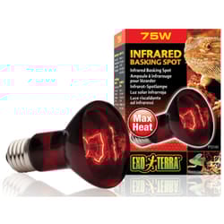 Exo Terra Basking Spot R20 75w