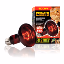 Exo Terra PT2144 reptile heat lamp 100 W 1 pc(s)