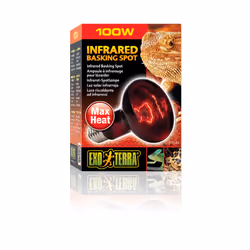 Exo Terra PT2144 reptile heat lamp 100 W 1 pc(s)
