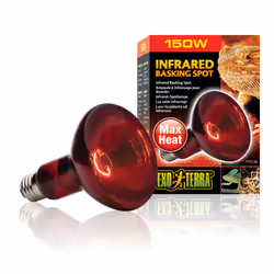 Exo Terra PT2146 reptile heat lamp 150 W 1 pc(s)