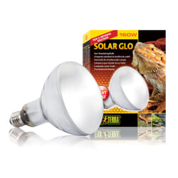 Exo Terra PT2193 reptile heat lamp 160 W 1 pc(s)