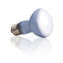 Exo Terra PT2195 25 W 1 pc(s)