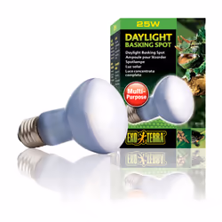 Exo Terra PT2195 25 W 1 pc(s)