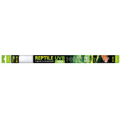 Exo Terra PT2385 15 W 1 pc(s)