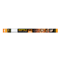 Exo Terra PT2395 15 W 1 pc(s)