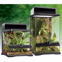Exo Terra PT2602 reptile/amphibian terrarium - Additional view 4