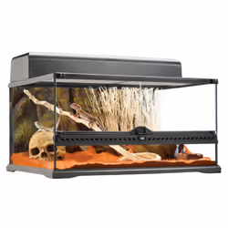 Exo Terra PT2604 reptile/amphibian terrarium