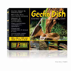 Exo Terra Gecko Dish