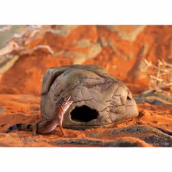 Exo Terra PT2865 Cave 1 pc(s)