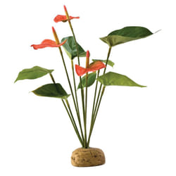 Exo Terra Rainforest Plant Anthurium Bush