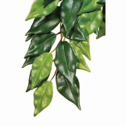 Exo Terra PT3030, Plants