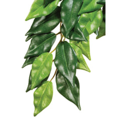 Exo Terra PT3030 reptile/amphibian habitat décor ornament Plants