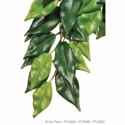 Exo Terra Silk Fiscus Plant Med