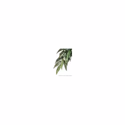 Exo Terra Silk Ruscus Plant (large)