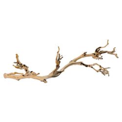 Exo Terra Forest Branch Small