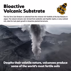 Bioactive Volcanic Substrate 2kg