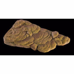 Exo Terra Turtle Bank - Medium Rock 1 pc(s) - Additional view 4