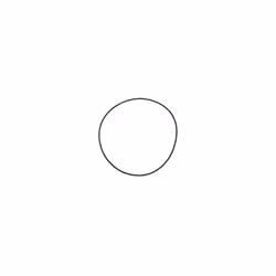 Fluval O-Ring Seal for Filter Cover FX5