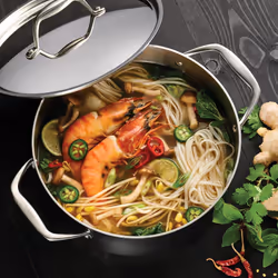 Tramontina Covered Dutch Oven Stainless Steel 5-Quart  80116/025DS