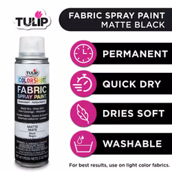 Tulip ColorShot Instant Fabric Spray Color 3oz. Black