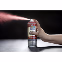 Tulip ColorShot Instant Fabric Color Interior Upholstery Spray 8 oz - Scarlet