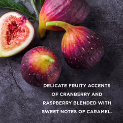 Moonlight Fig Luxury Pamper Present Gift Set - Vegan Friendly (Pack of 1)