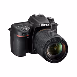 Nikon D7500 + AF-S DX NIKKOR 18-140 VR SLR Camera Kit 20.9 MP CMOS 5568 x 3712 pixels Black - Additional view 6