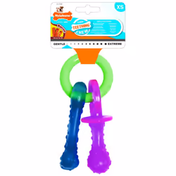 Nylabone Puppy Teething Chew Pacifier Bacon Xsmall