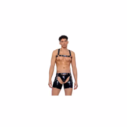 6506 - Pride Vinyl Chaps