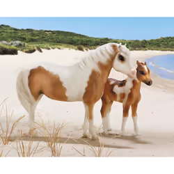 Breyer Misty & Stormy - Models and Book Set