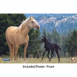 Breyer Encore & Tor Gift Set