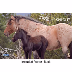 Breyer Encore & Tor Gift Set