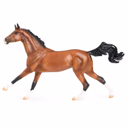Breyer Adamek, 8 yr(s), Brown