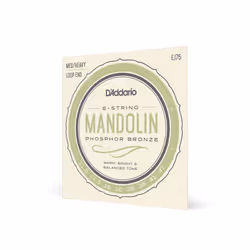 D'Addario EJ75, Mandolin, 8 pc(s)