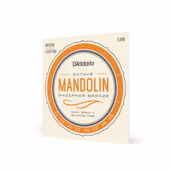 D'Addario EJ80, Mandolin, Phosphor bronze, 8 pc(s)