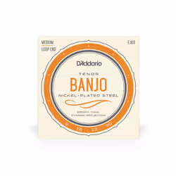 D'Addario EJ63 musical instrument strings 4 pc(s) Steel Banjo