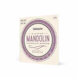 D'Addario EJ70, Mandolin, 8 pc(s)